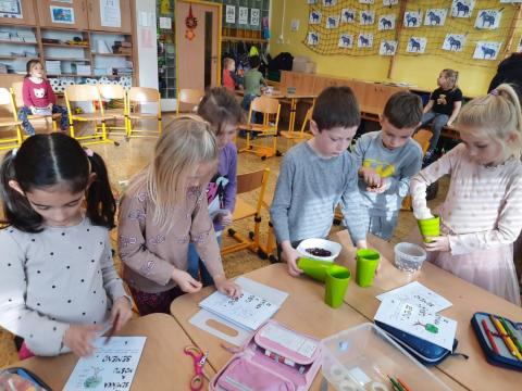 Od semínka k moštu  1.C