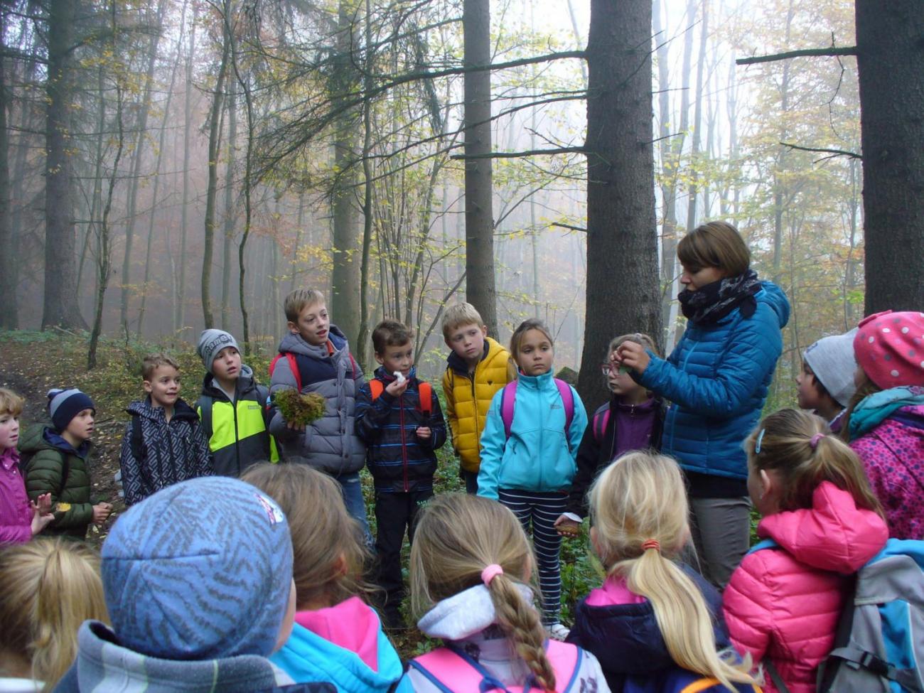 Hrátky s lesem - 2. A, 2. C