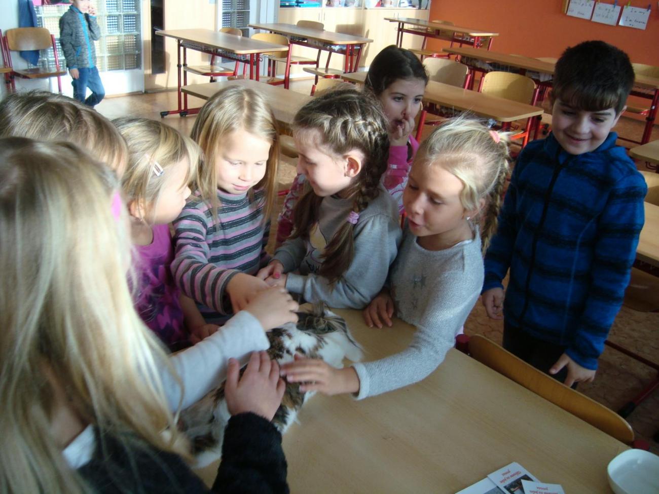 Veletrh Zdraví - 1. C