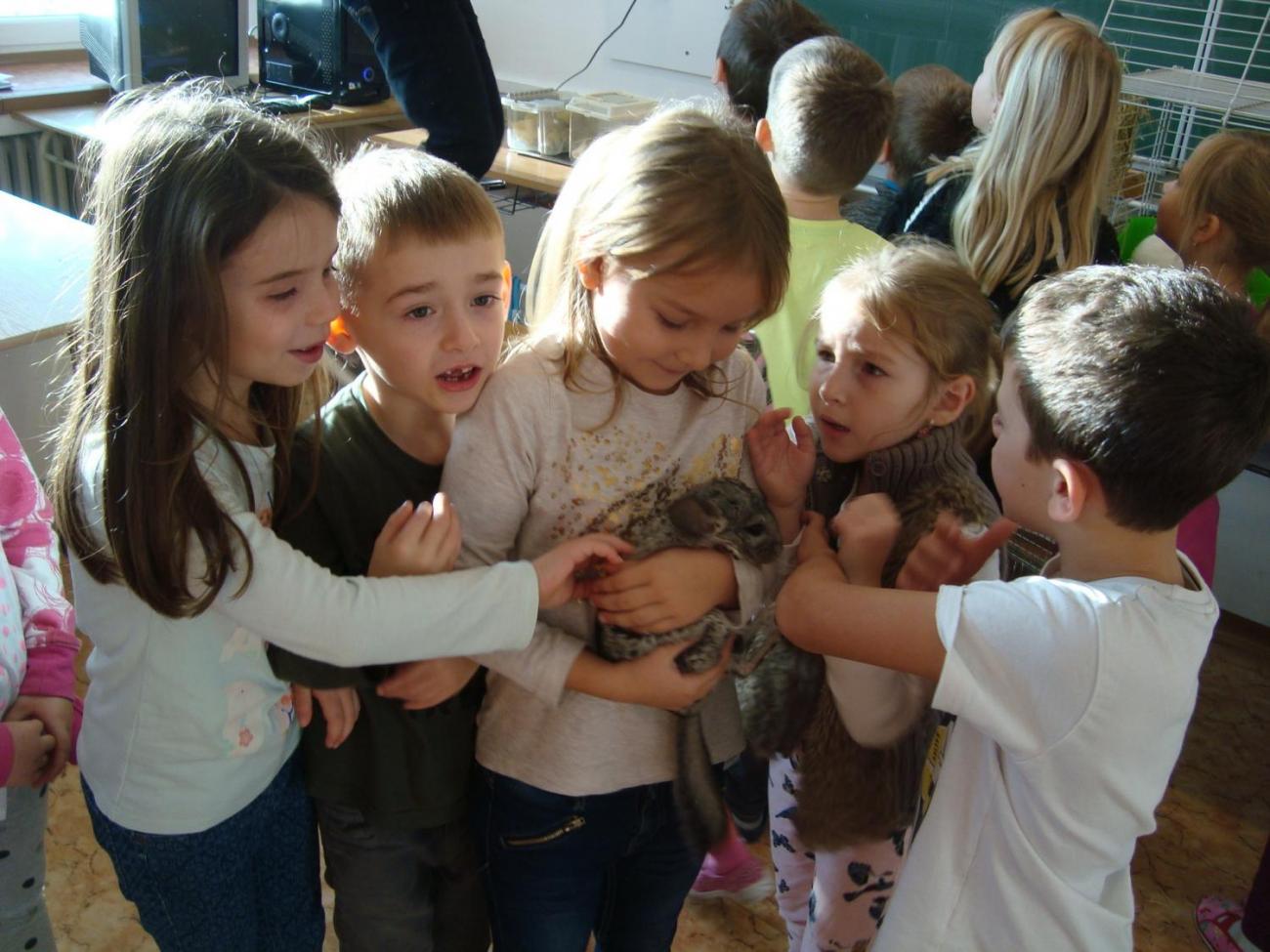 Veletrh Zdraví - 1. C