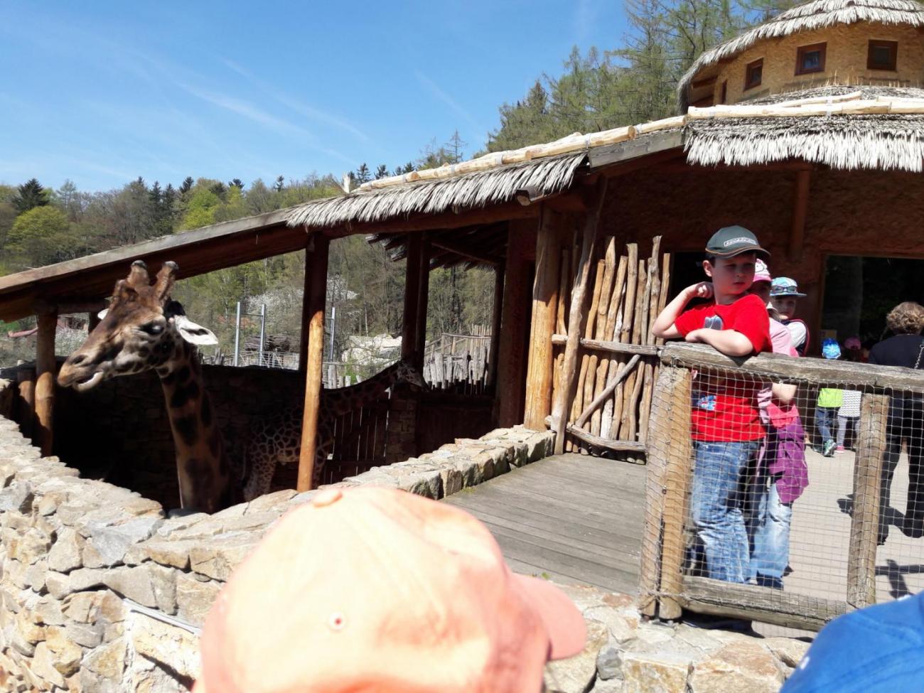 ZOO Jihlava - MAZLÍČCI (1.C)