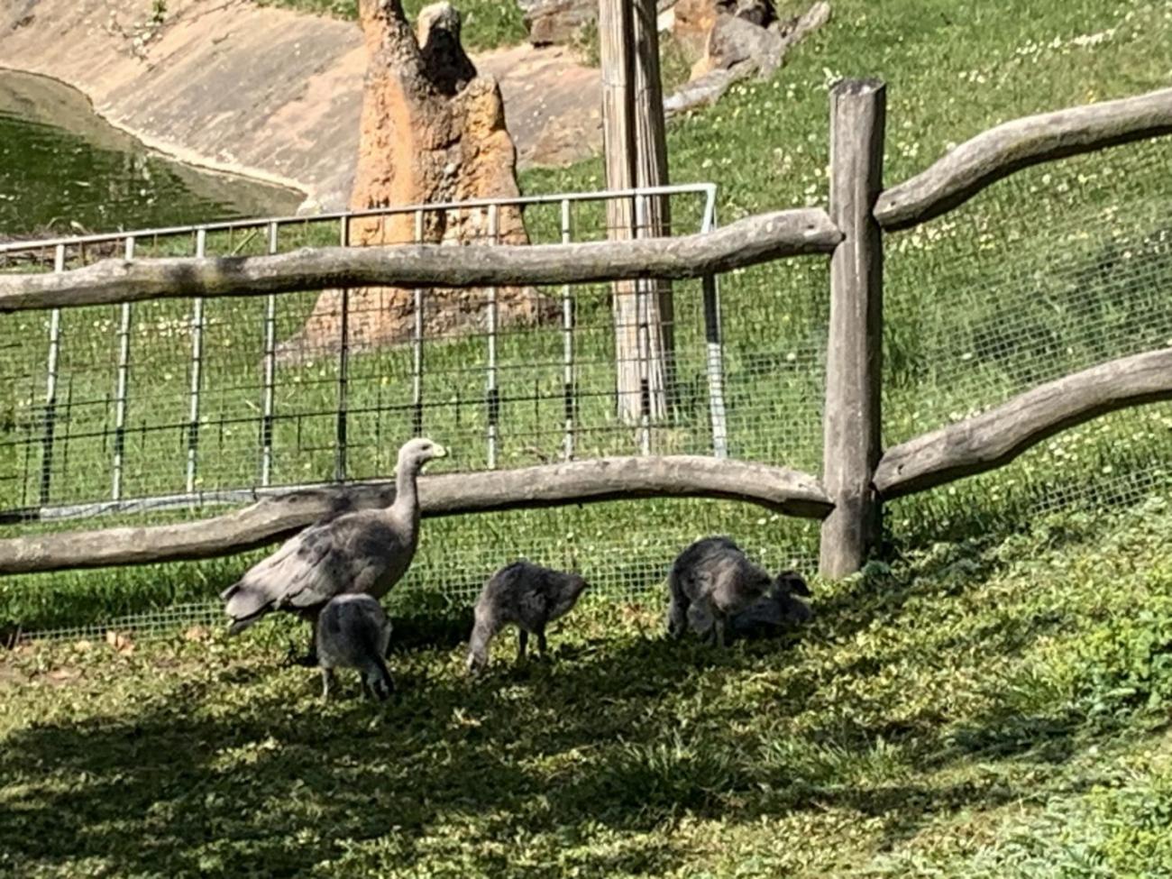 Když jsem já sloužil...   1.B