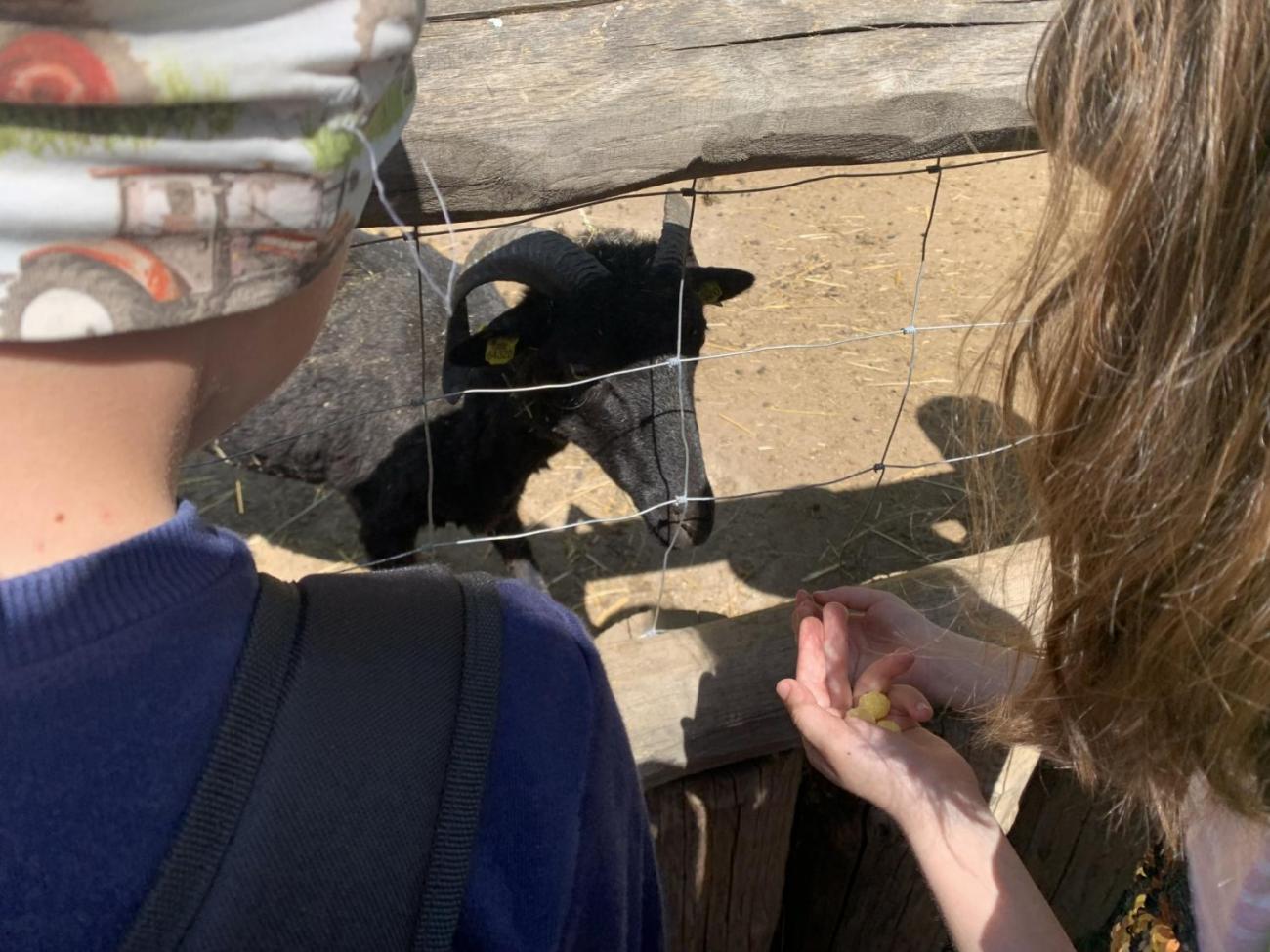 Když jsem já sloužil...   1.B