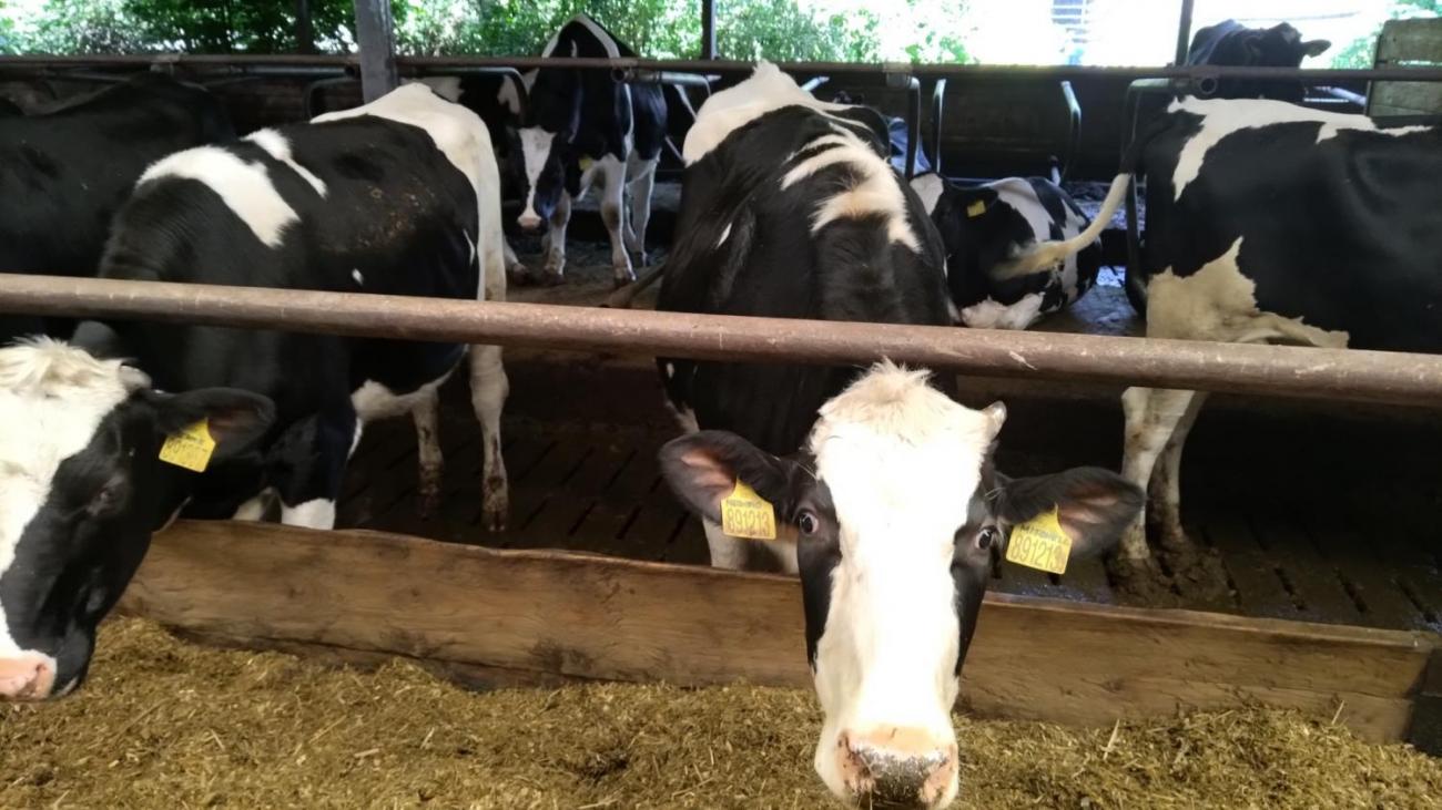 6. ročník objevuje zemědělskou výrobu