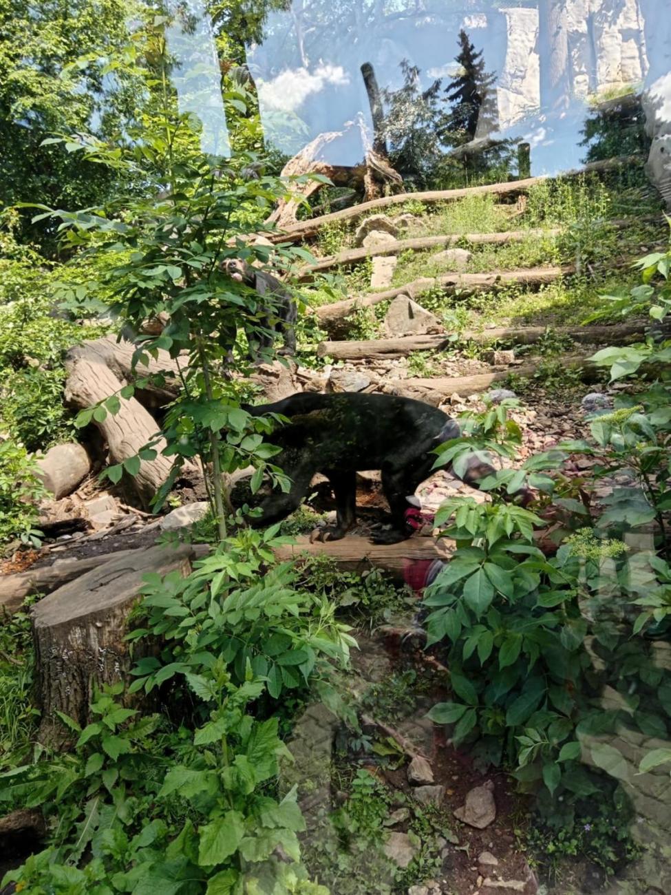 Návštěva ZOO - turistický den  2.B