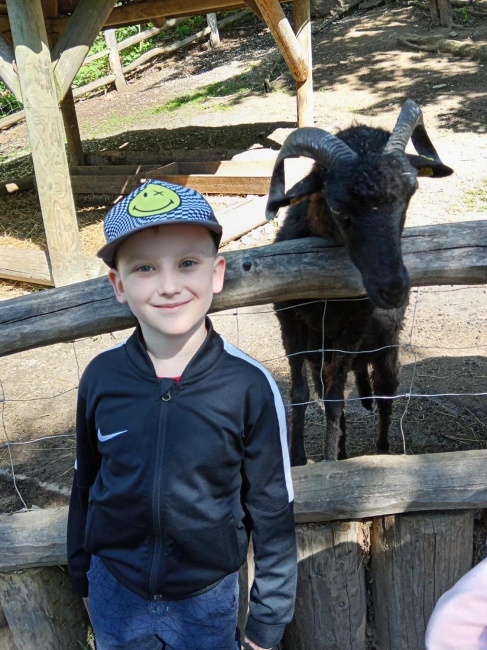 Návštěva ZOO - turistický den  2.B