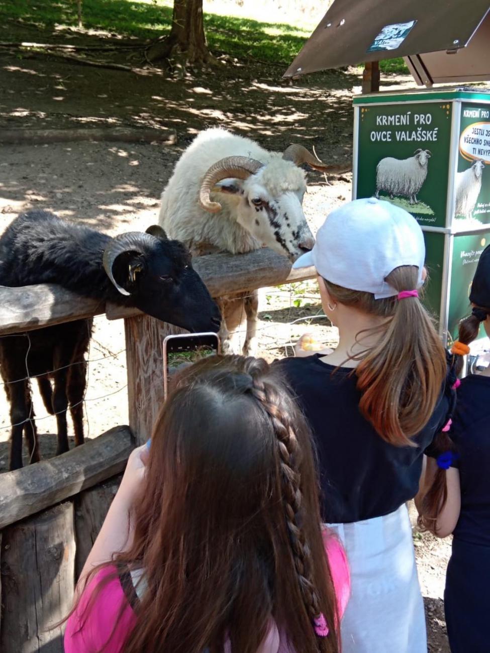 Návštěva ZOO - turistický den  2.B