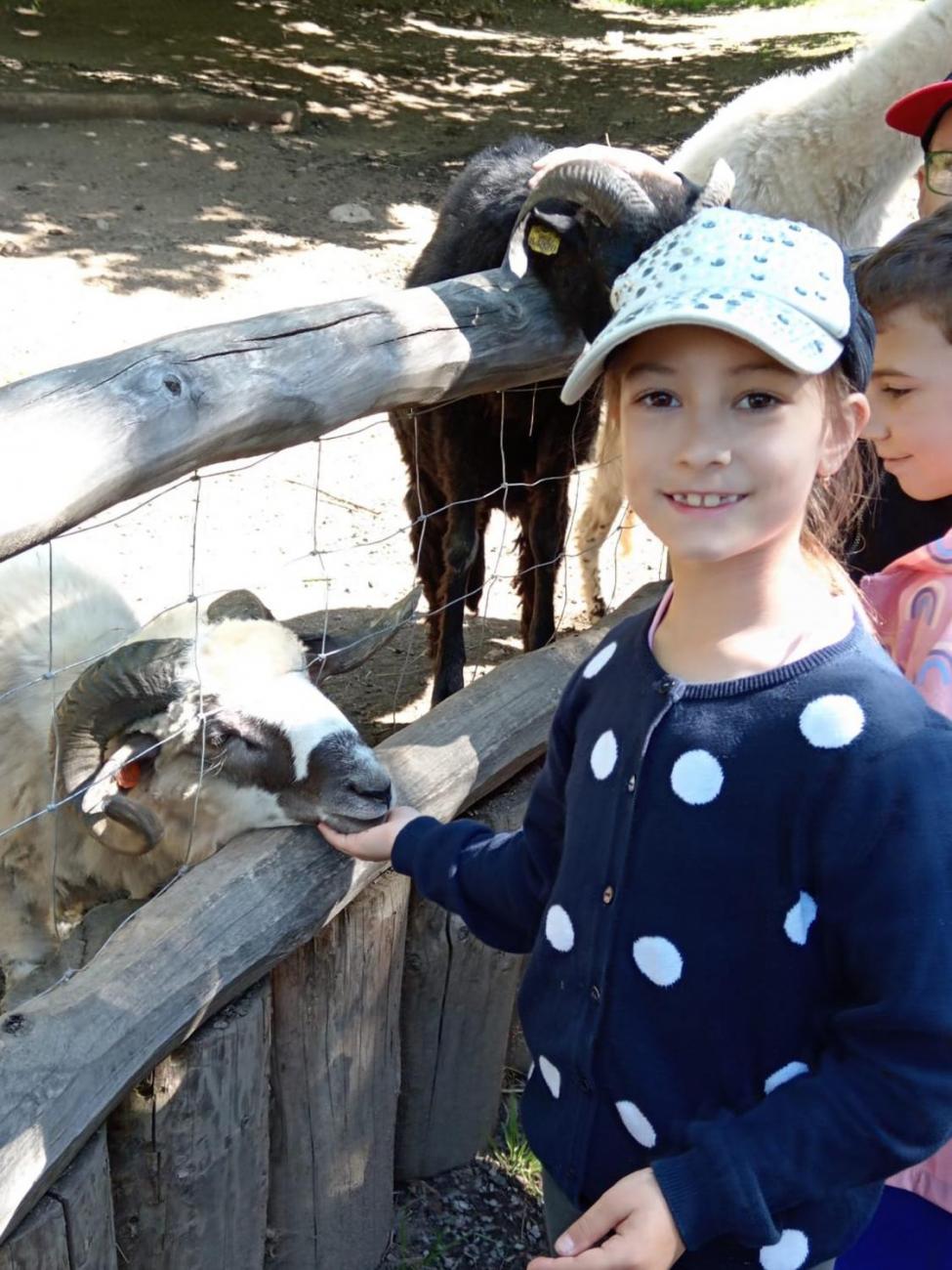 Návštěva ZOO - turistický den  2.B