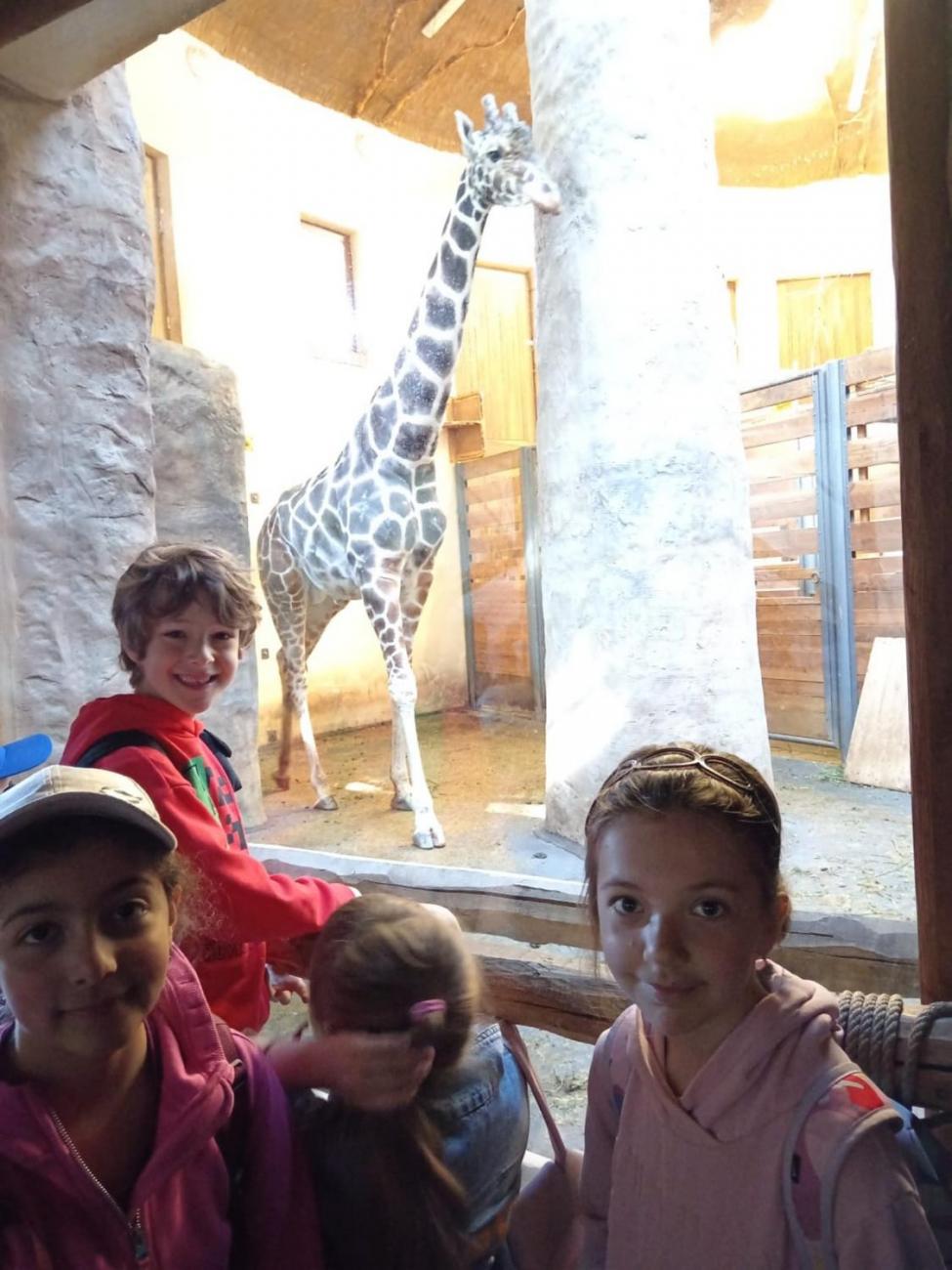 Návštěva ZOO - turistický den  2.B