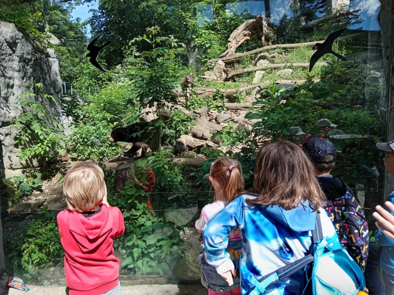 Návštěva ZOO - turistický den  2.B