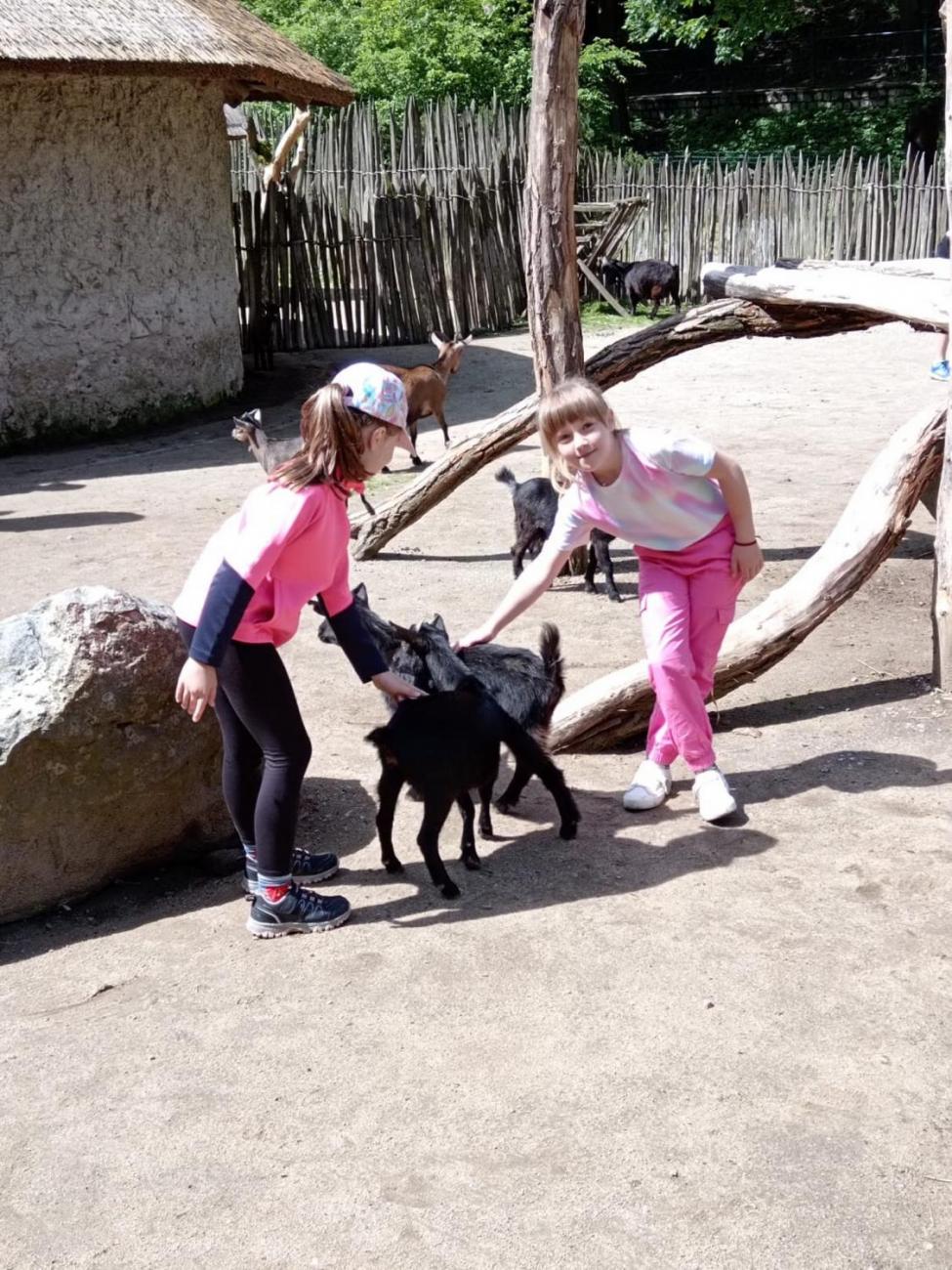 Návštěva ZOO - turistický den  2.B