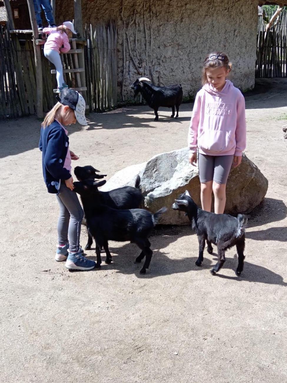 Návštěva ZOO - turistický den  2.B