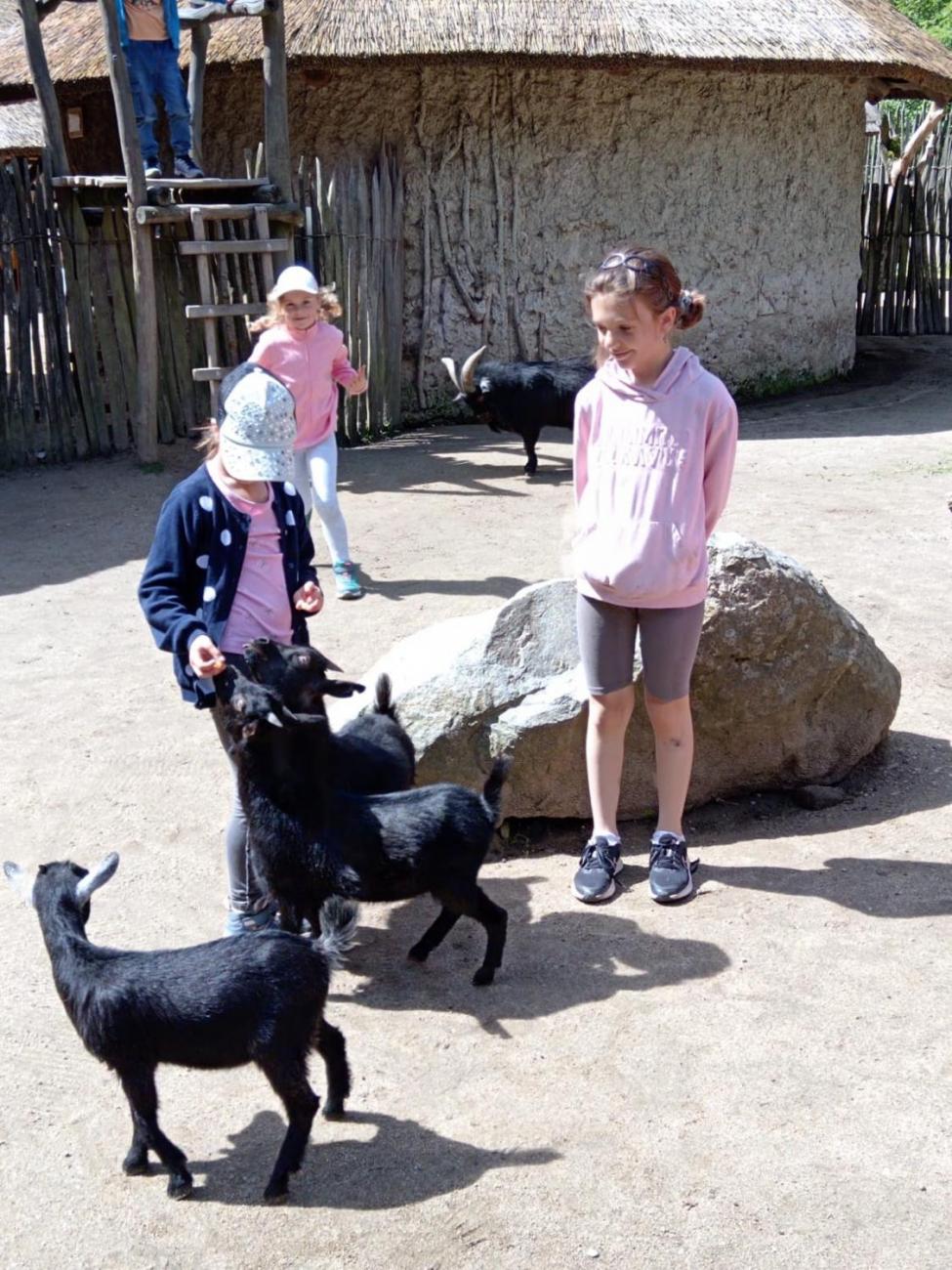 Návštěva ZOO - turistický den  2.B