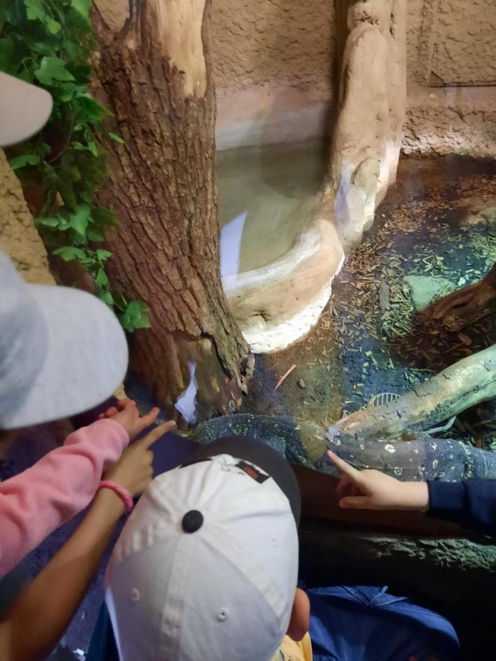 Návštěva ZOO - turistický den  2.B