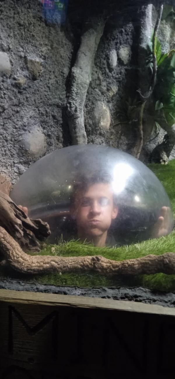 Studijně poznávací pobyt v Anglii