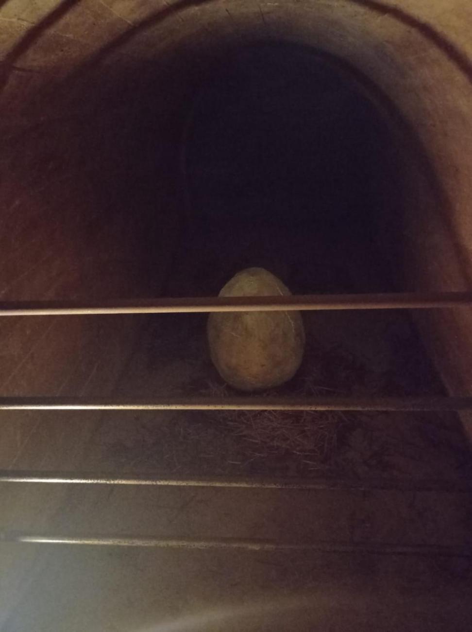 Výlet do Telče za dračím vejcem  1.A