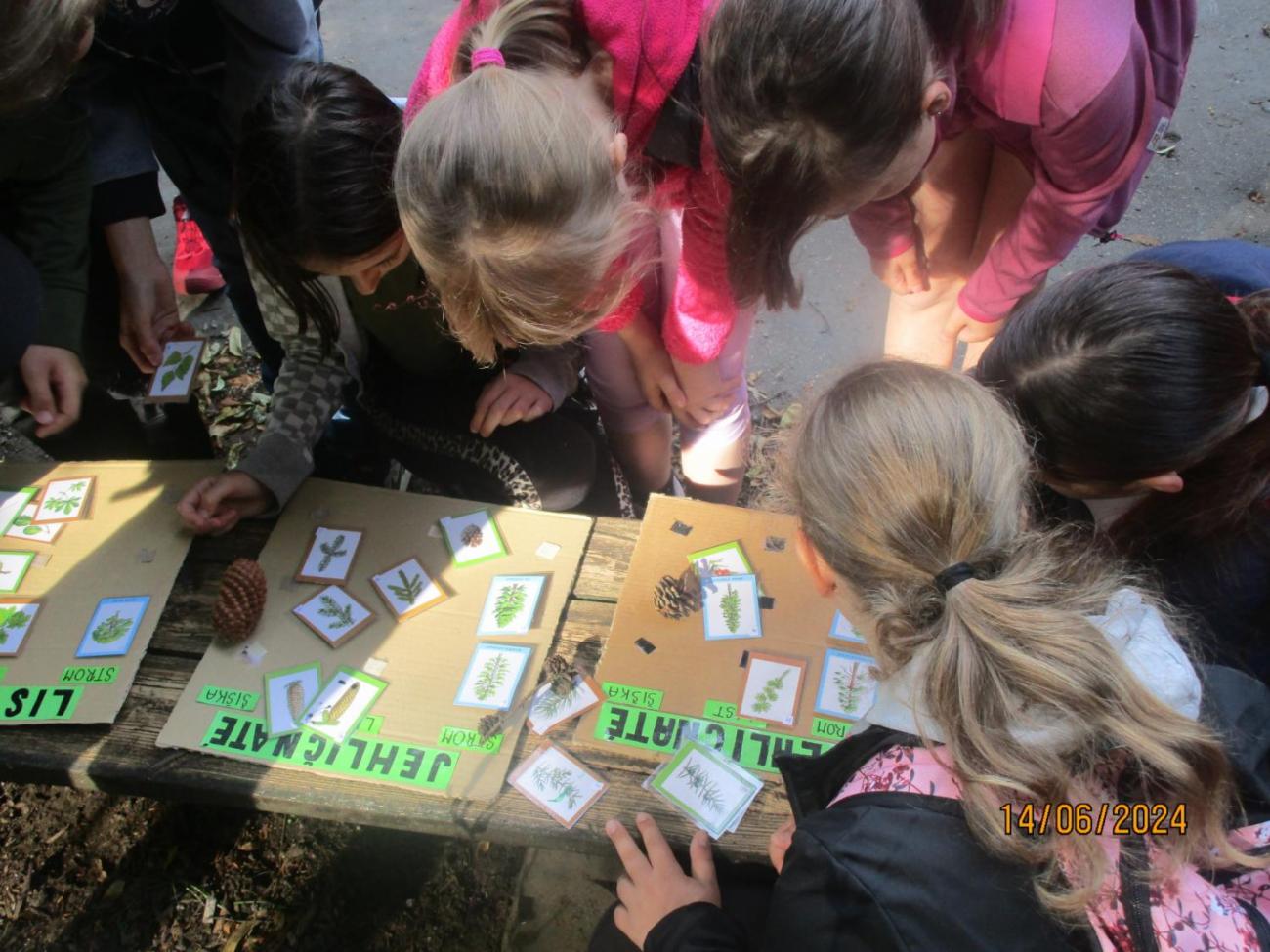 ZOO - Les žije  4. ročník