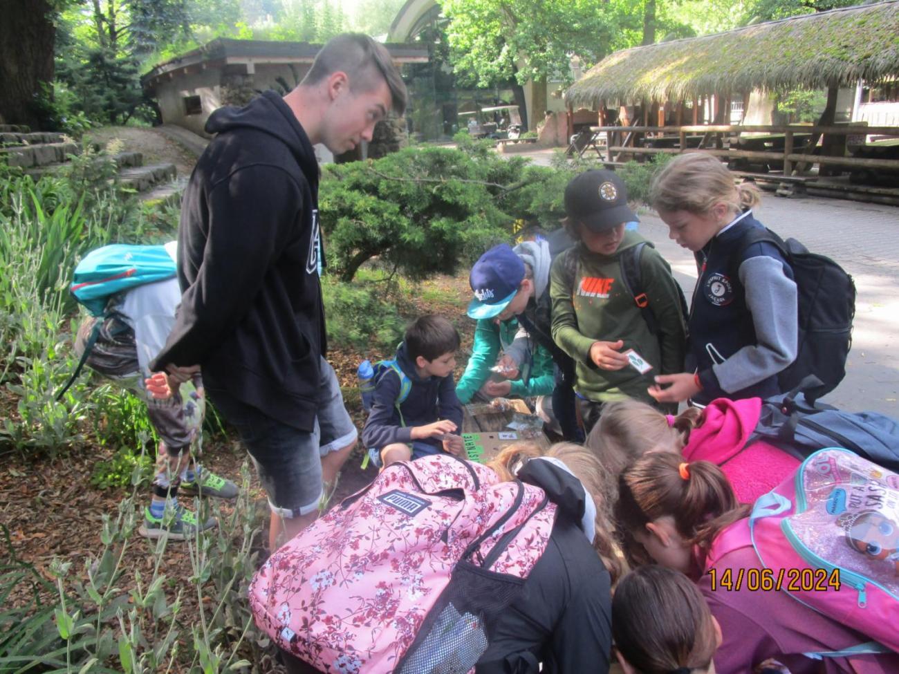 ZOO - Les žije  4. ročník