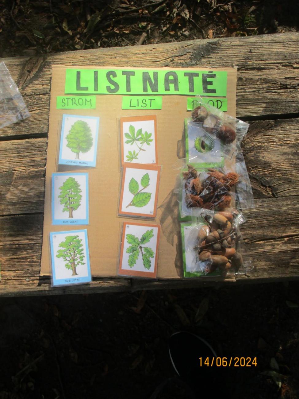 ZOO - Les žije  4. ročník