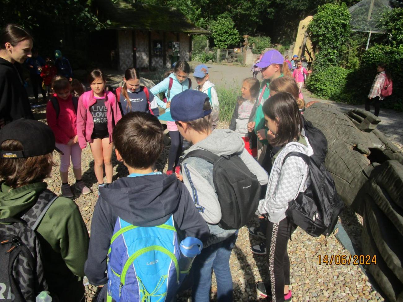 ZOO - Les žije  4. ročník