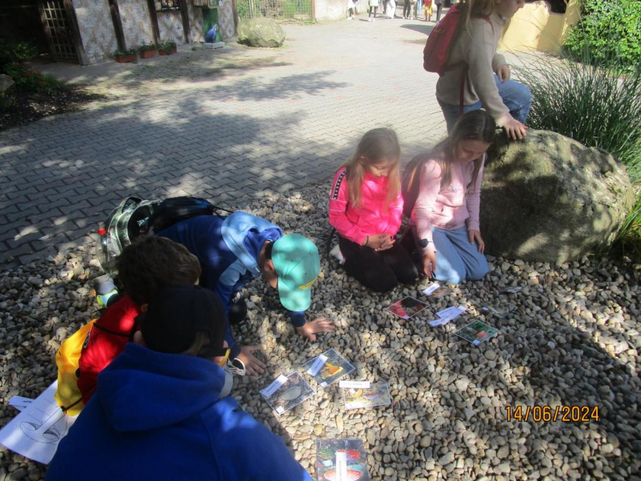 ZOO - Les žije  4. ročník