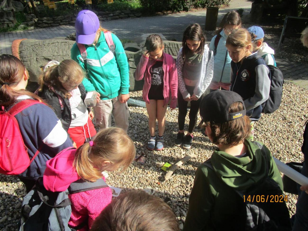 ZOO - Les žije  4. ročník