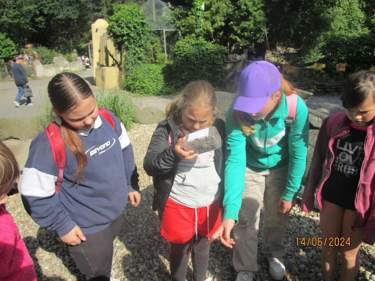 ZOO - Les žije  4. ročník