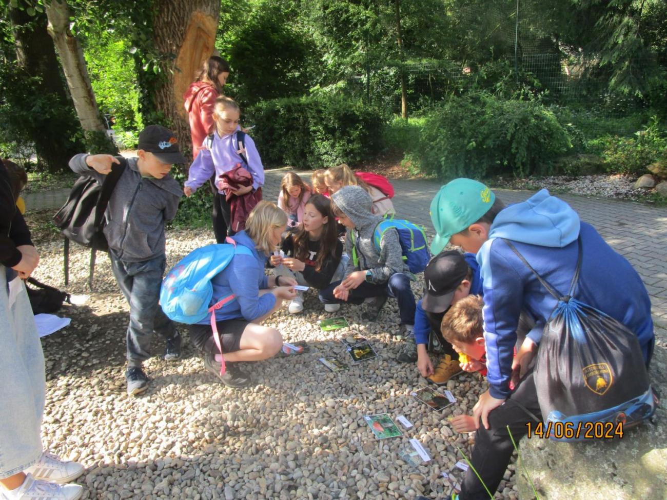 ZOO - Les žije  4. ročník