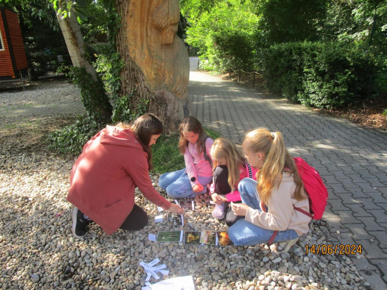 ZOO - Les žije  4. ročník