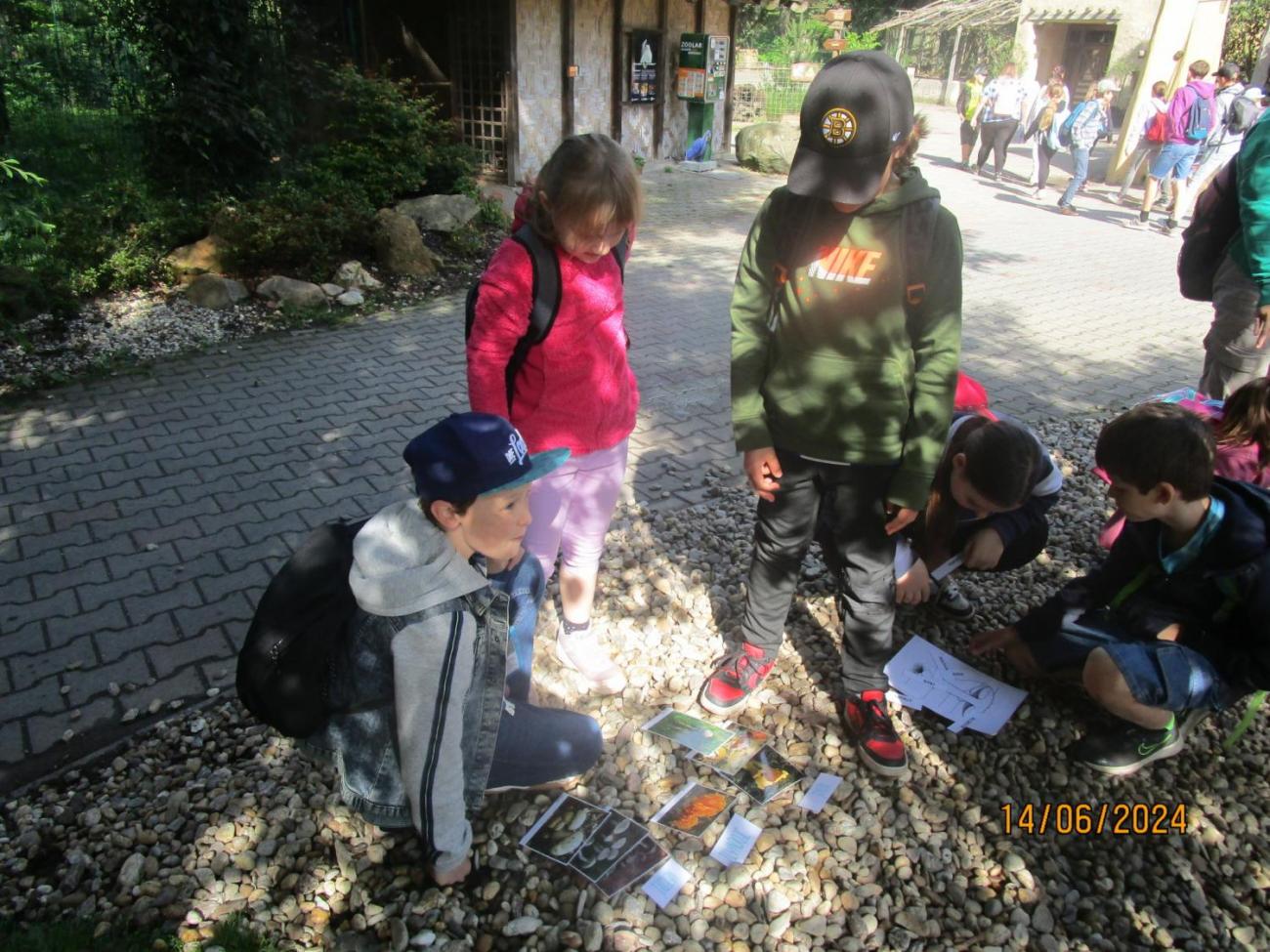 ZOO - Les žije  4. ročník