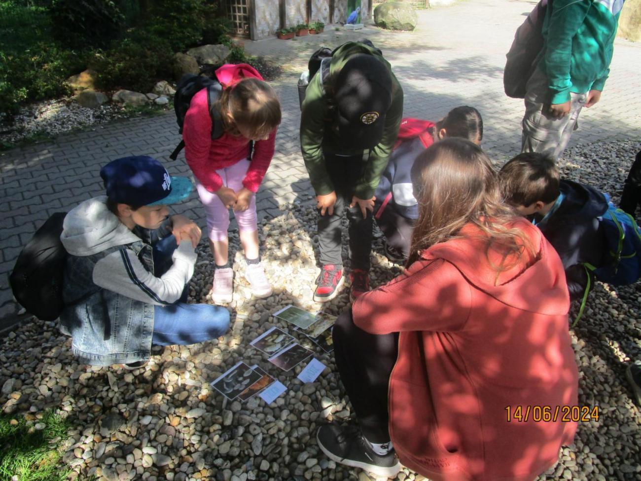 ZOO - Les žije  4. ročník