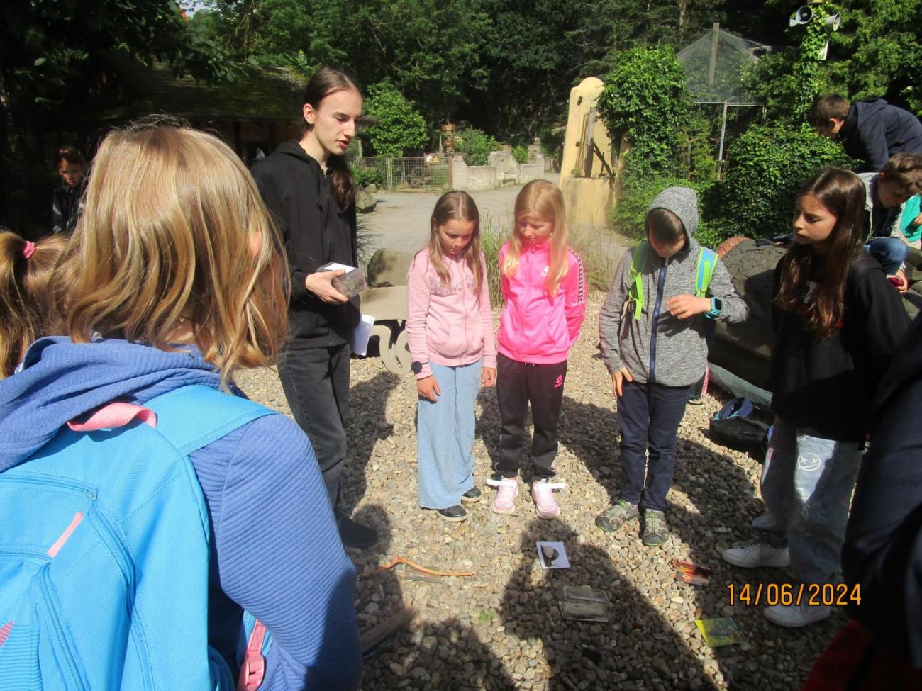 ZOO - Les žije  4. ročník