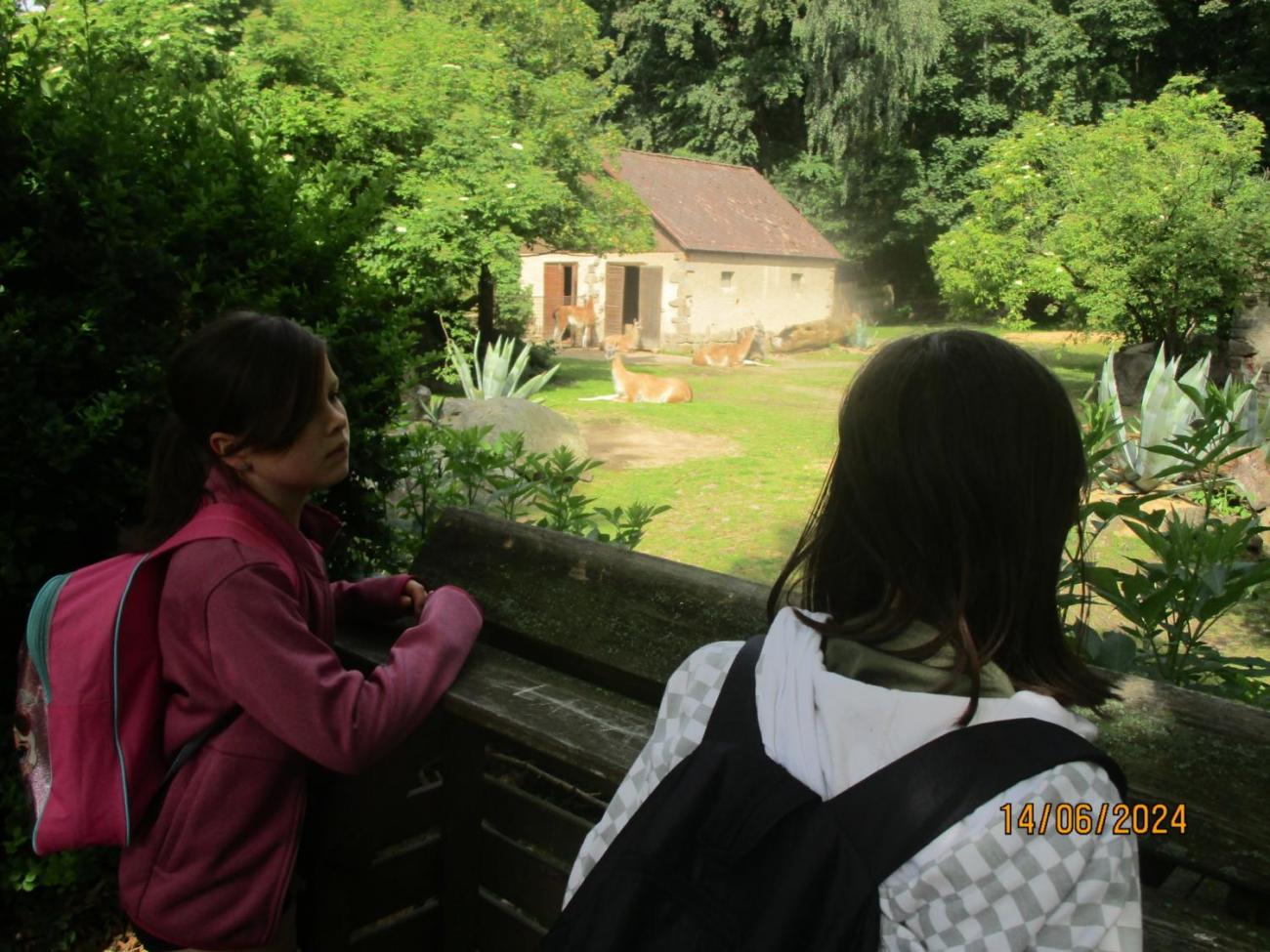 ZOO - Les žije  4. ročník