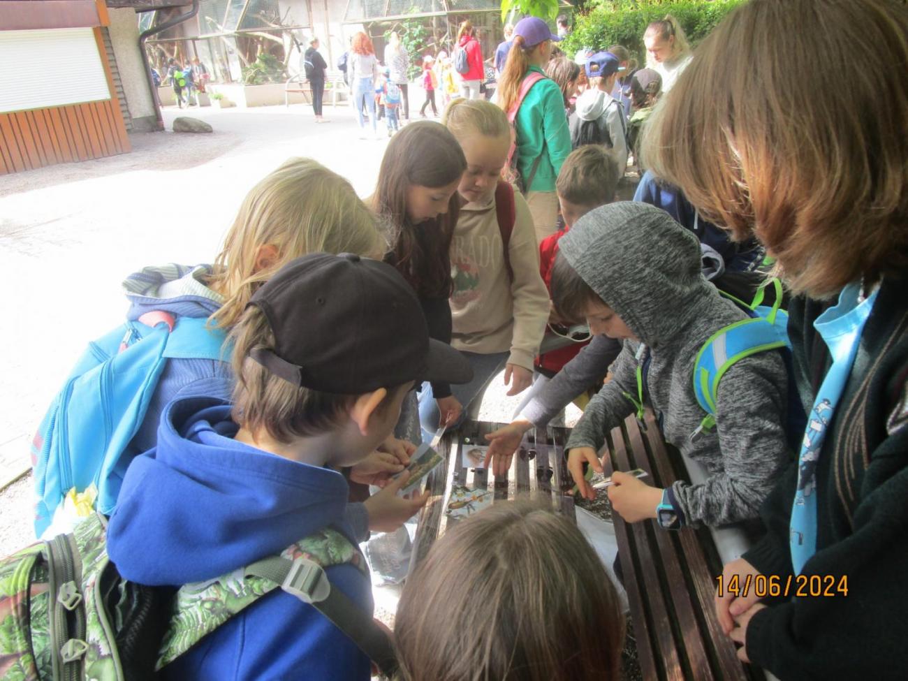 ZOO - Les žije  4. ročník