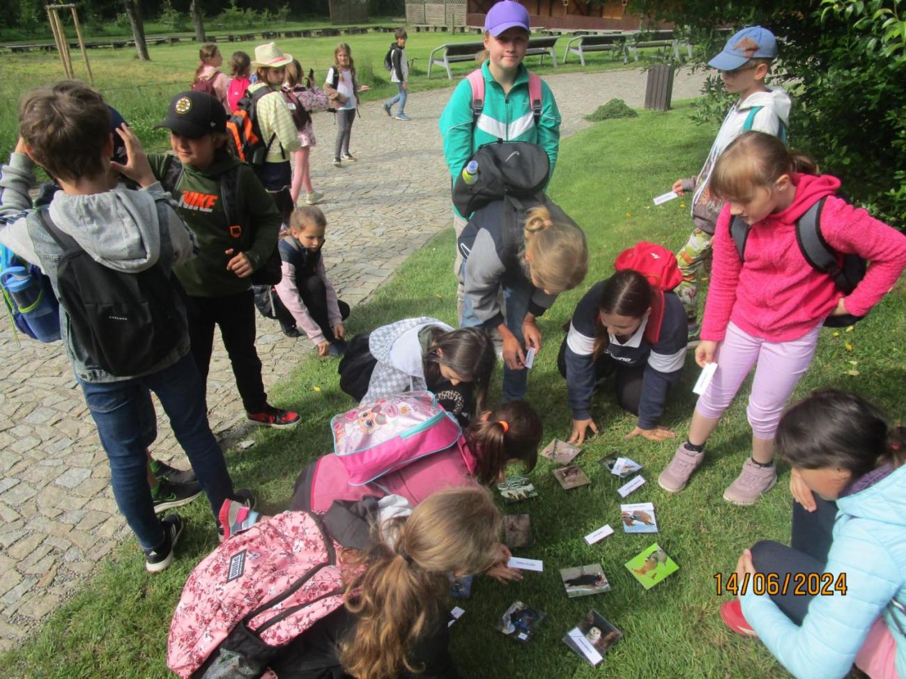 ZOO - Les žije  4. ročník