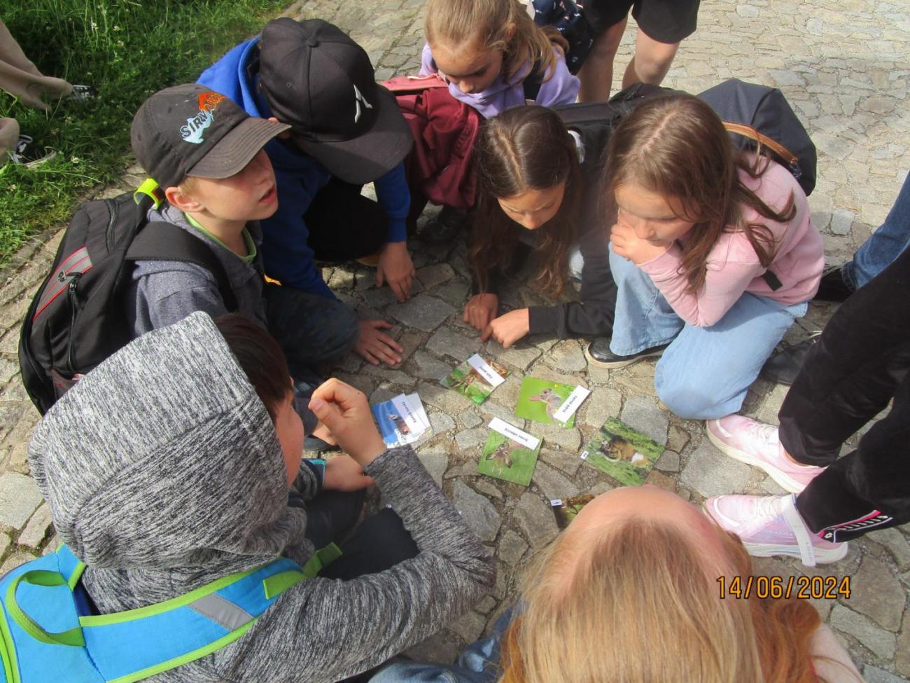 ZOO - Les žije  4. ročník