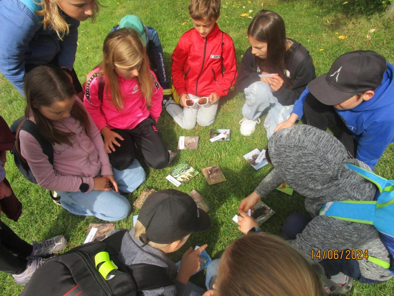 ZOO - Les žije  4. ročník