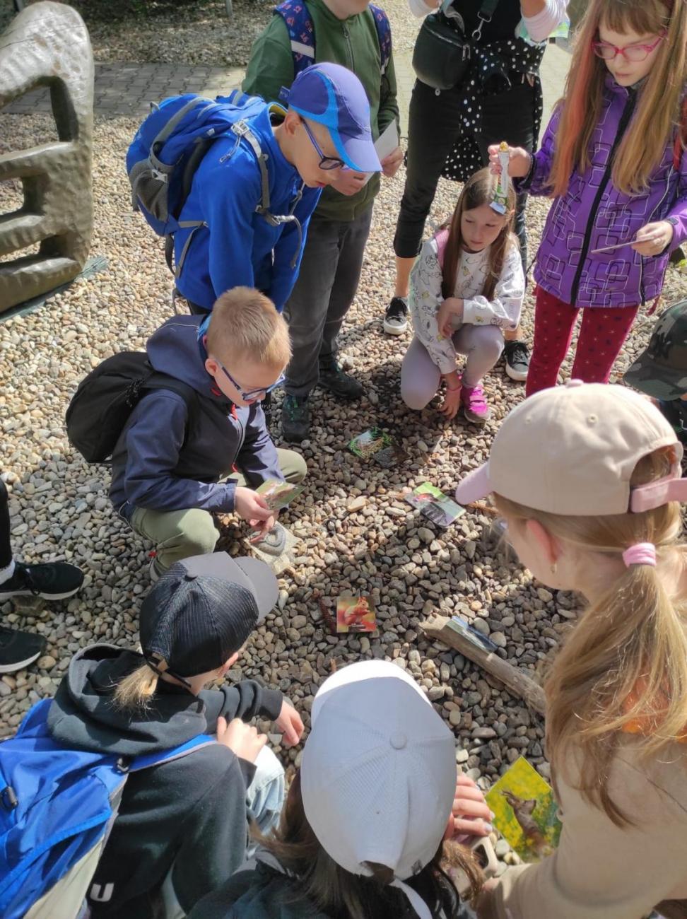 ZOO - Les žije  4. ročník