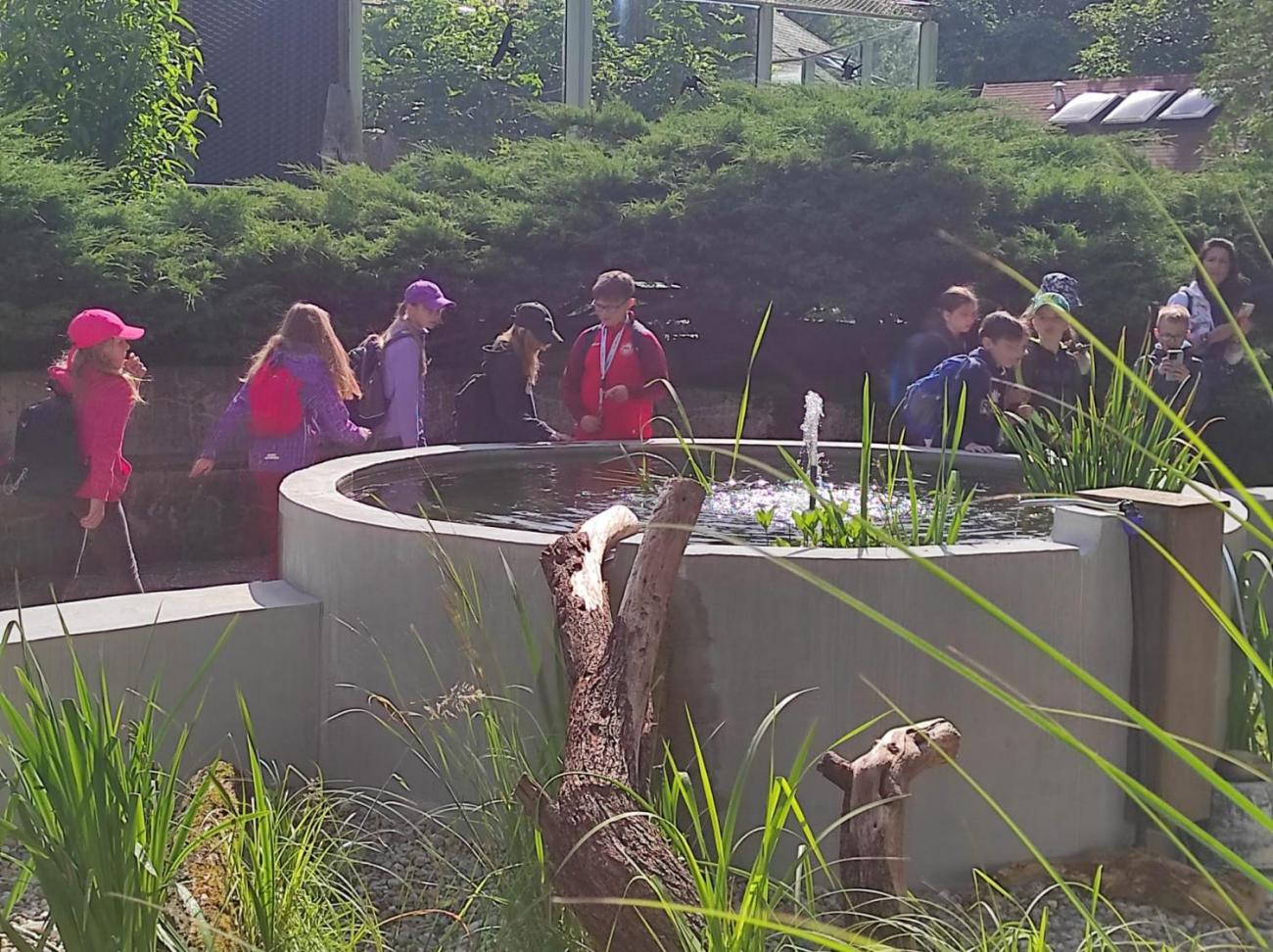 ZOO - Les žije  4. ročník