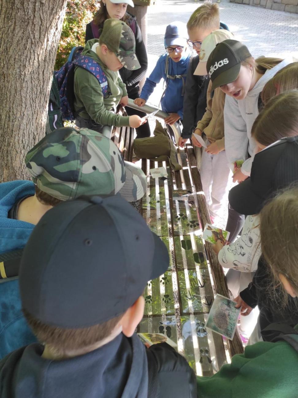 ZOO - Les žije  4. ročník