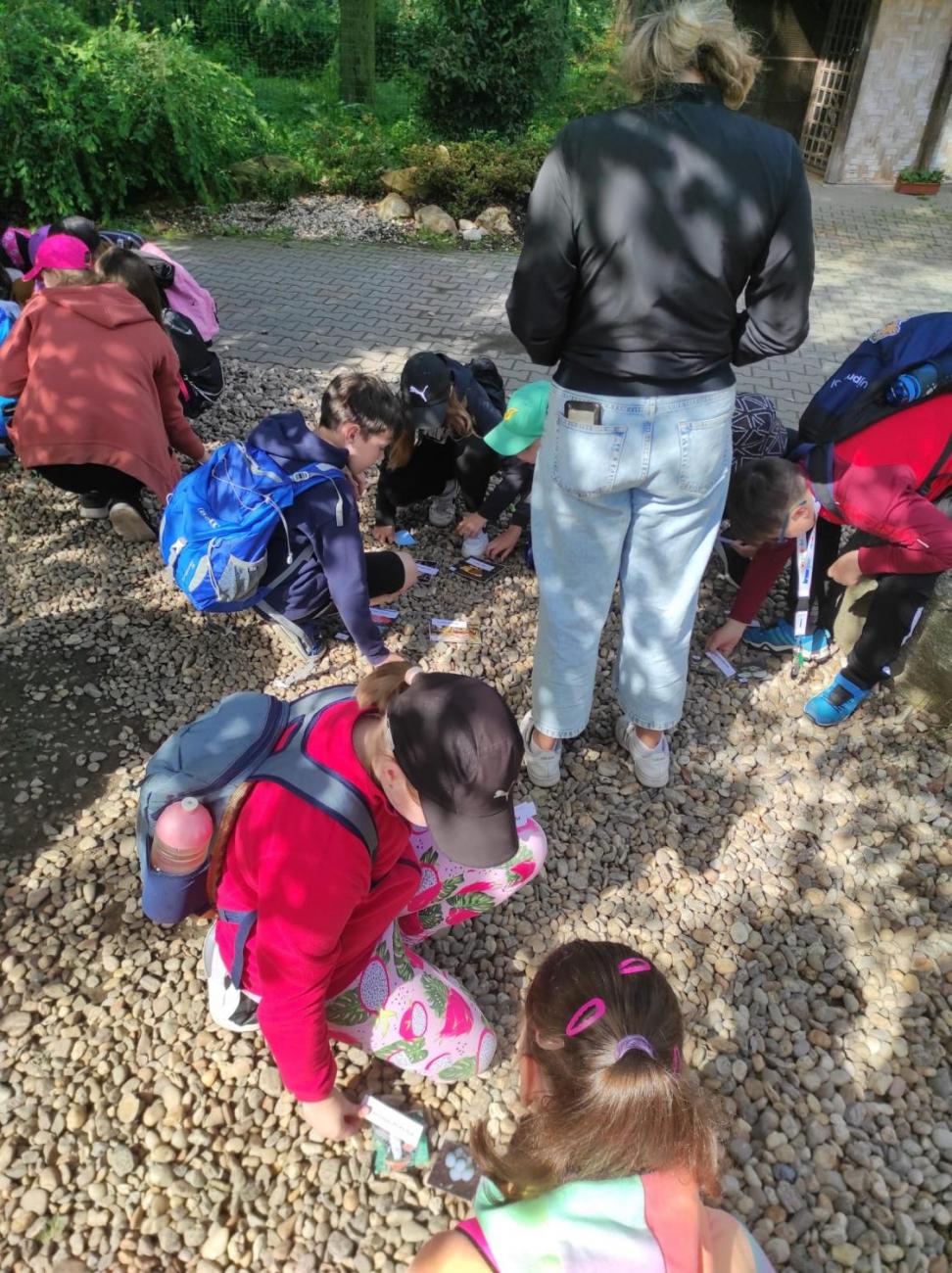 ZOO - Les žije  4. ročník