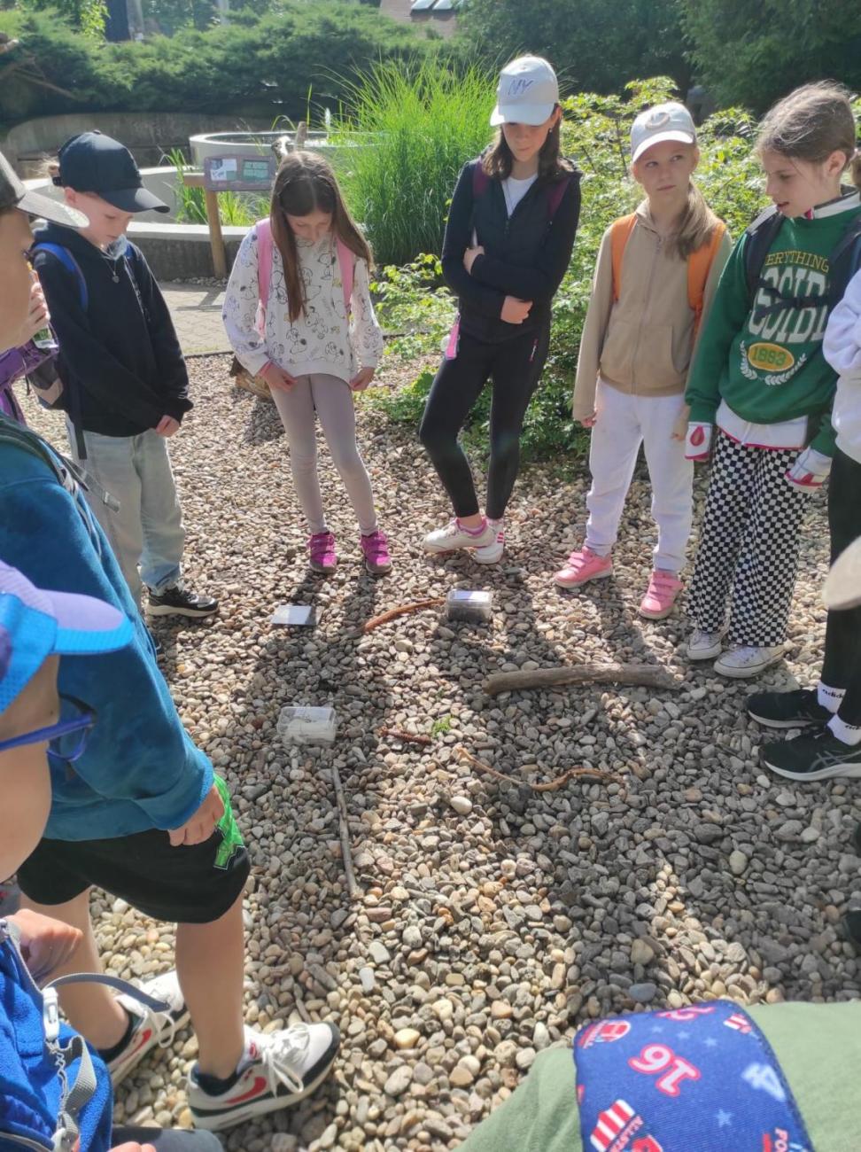 ZOO - Les žije  4. ročník