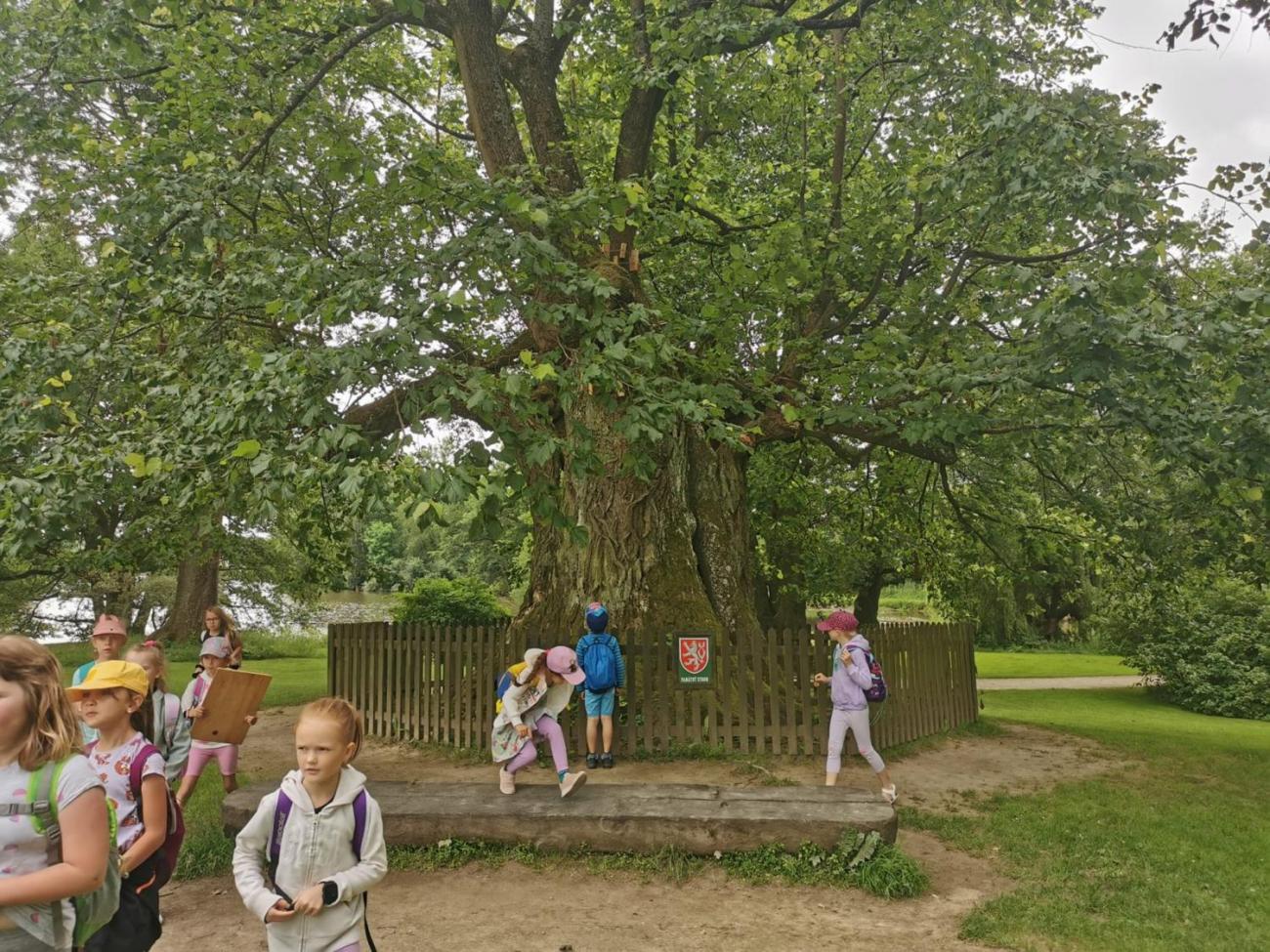 Hledání dračího strážce  1.C