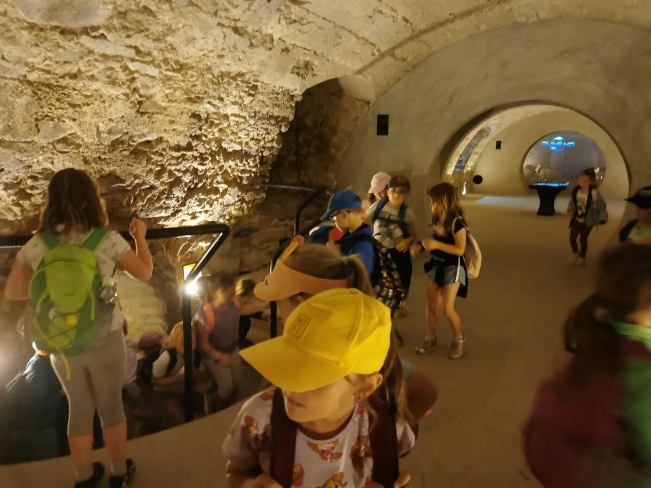 Hledání dračího strážce  1.C