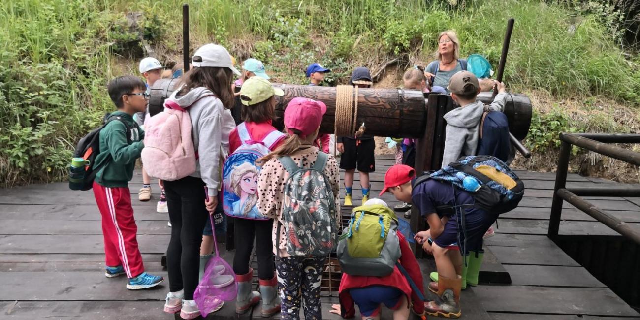 Modré žáby pod Šacberkem  1.A