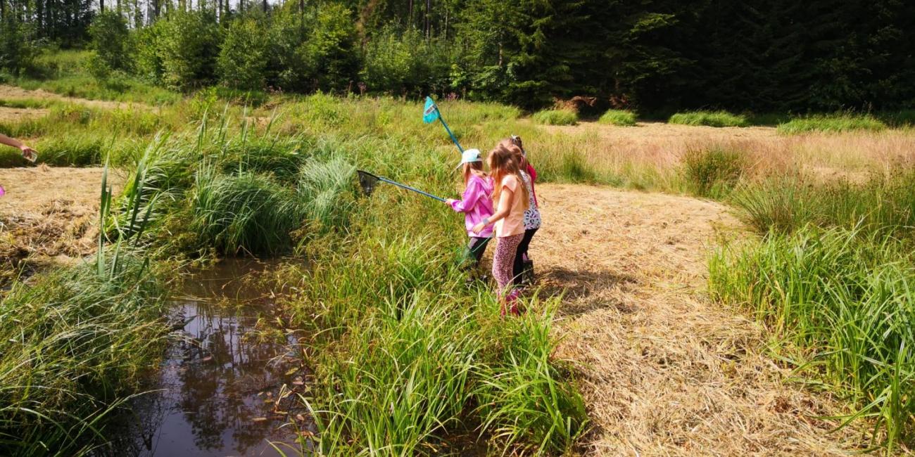 Modré žáby pod Šacberkem  1.A