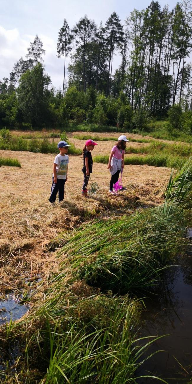 Modré žáby pod Šacberkem  1.A