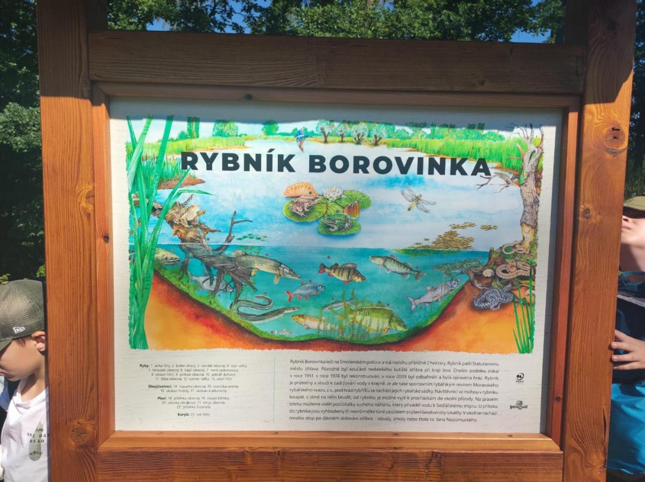 Borovinka  4.A