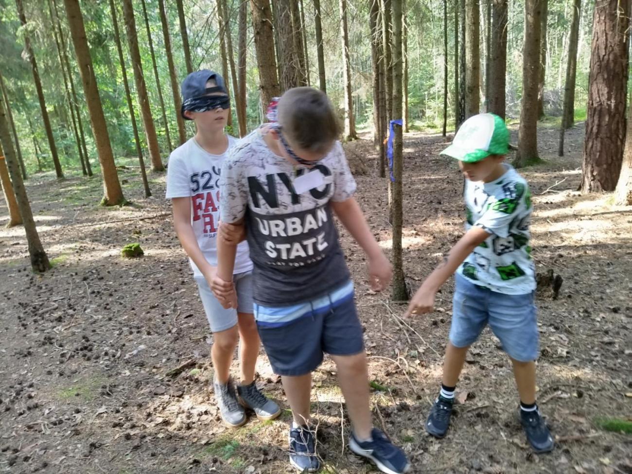 Poznávání a pravidla, 6. ročník