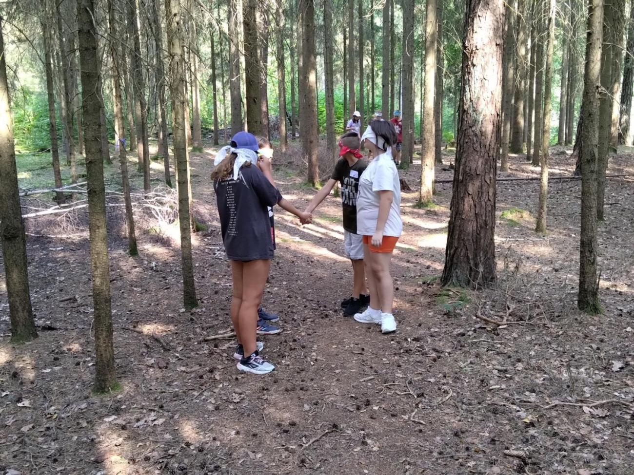 Poznávání a pravidla, 6. ročník